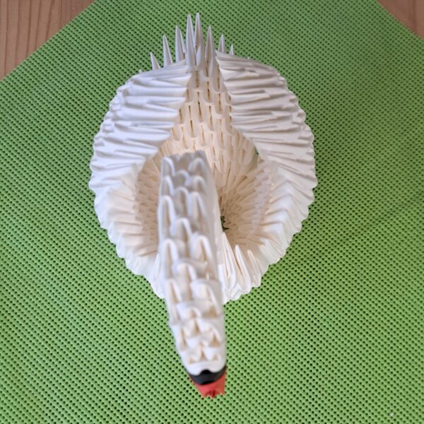 Schwan mit geschlossenen Flügeln