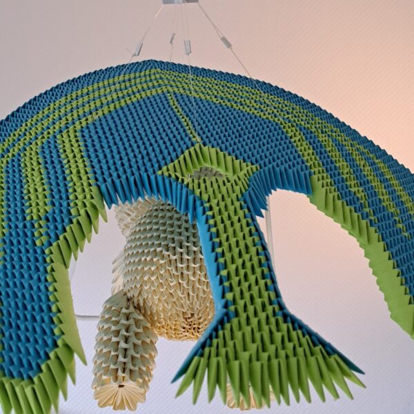 Bär - Der Drachenflieger