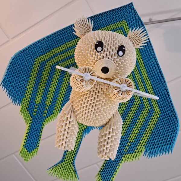 Bär - Der Drachenflieger