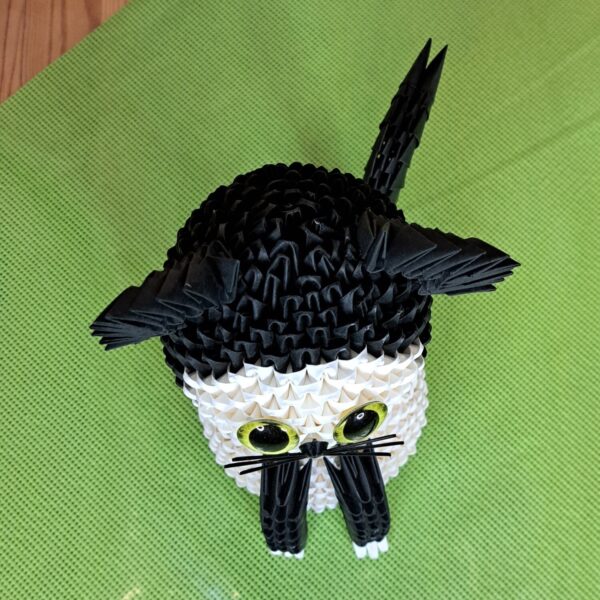 Katze - in den Fraben Schwarz und Weiß