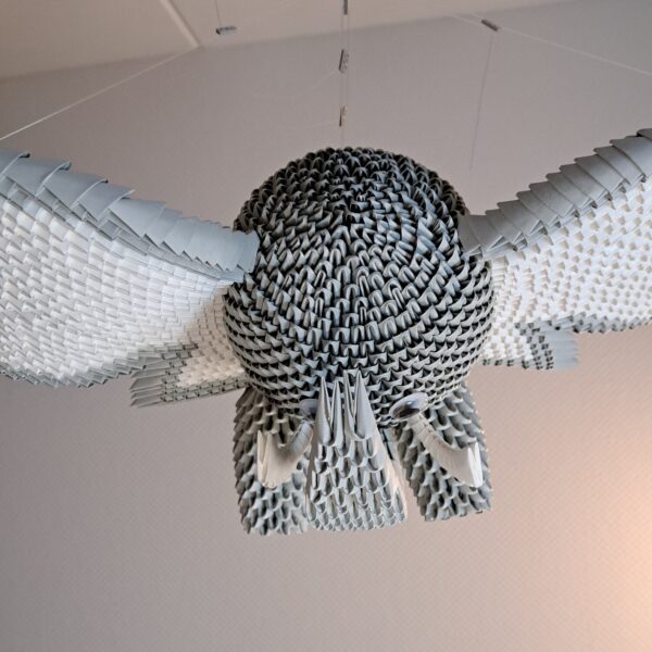 Dumbo der fliegende Elefant