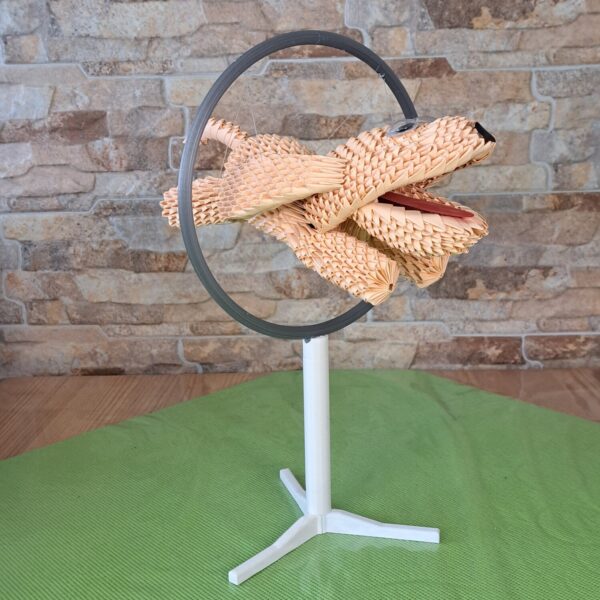 Hund - welcher durch einen Ring springt