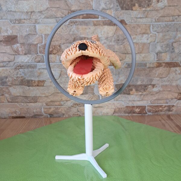 Hund - welcher durch einen Ring springt