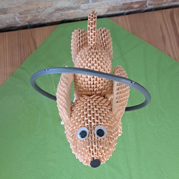 Hund - welcher durch einen Ring springt