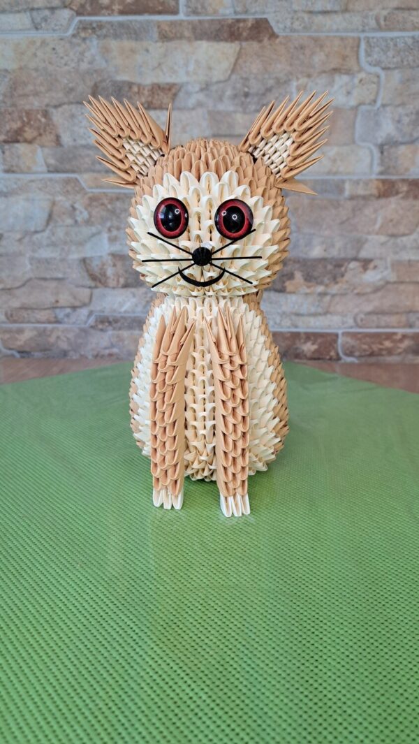 Katze - in den Fraben Lachs, Chamois