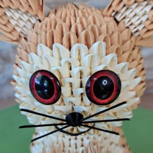 Katze - in den Fraben Lachs, Chamois – Bild 2