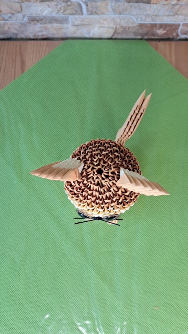 Katze - in den Fraben Lachs, Chamois