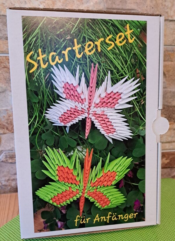 Schmetterling - Starterset für Anfänger 07