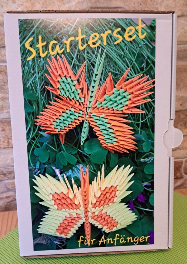 Schmetterling - Starterset für Anfänger 08