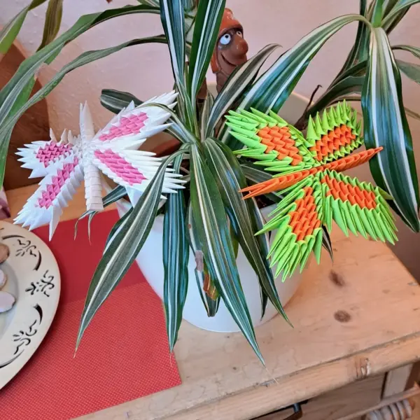 Schmetterling - Starterset für Anfänger 07