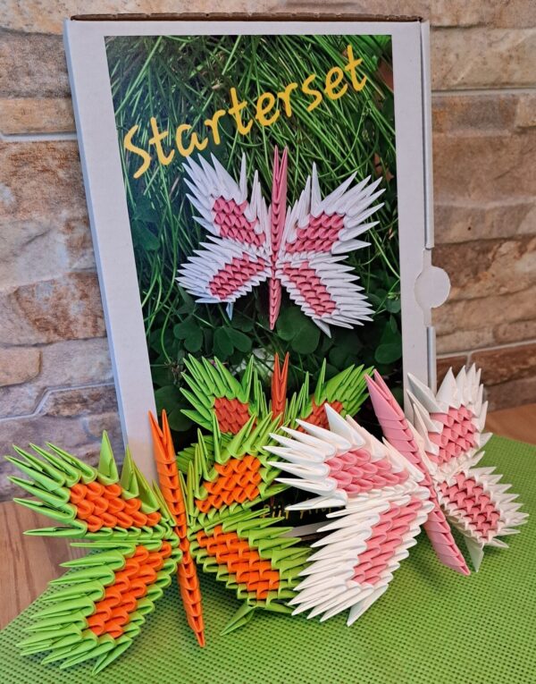 Schmetterling - Starterset für Anfänger 07