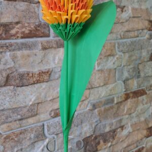 Tulpe - warme Kombination aus Orange und Gelb – Bild 2