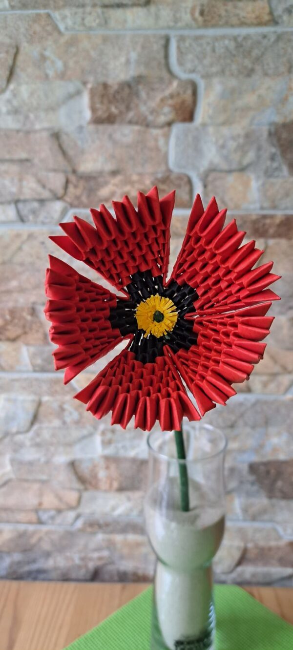 Mohnblume - Starterset für Anfänger 017