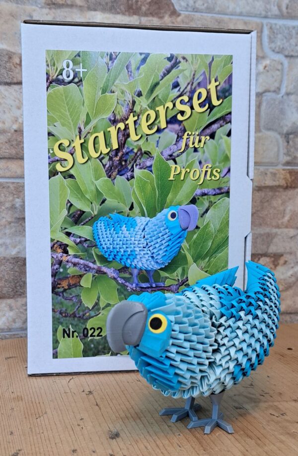 Papagei in Blau - Starterset für Profis