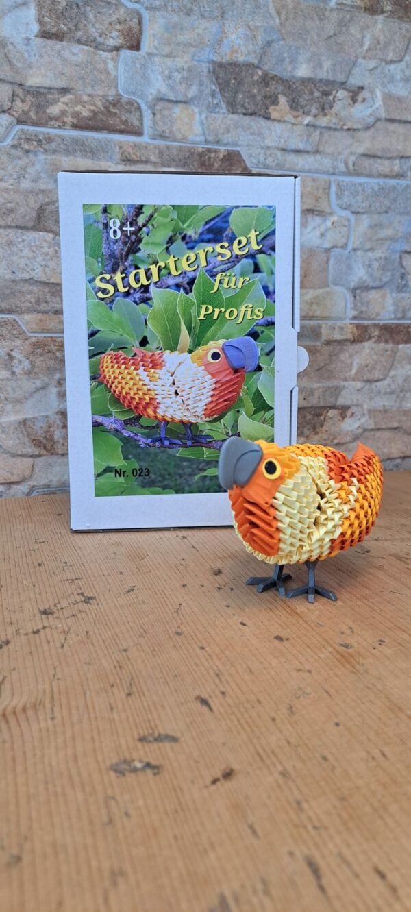 Papagei in Orange - Starterset für Profis
