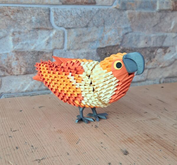 Papagei - mit 3 verschiedenen Orangtönen