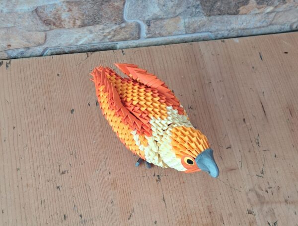 Papagei - mit 3 verschiedenen Orangtönen