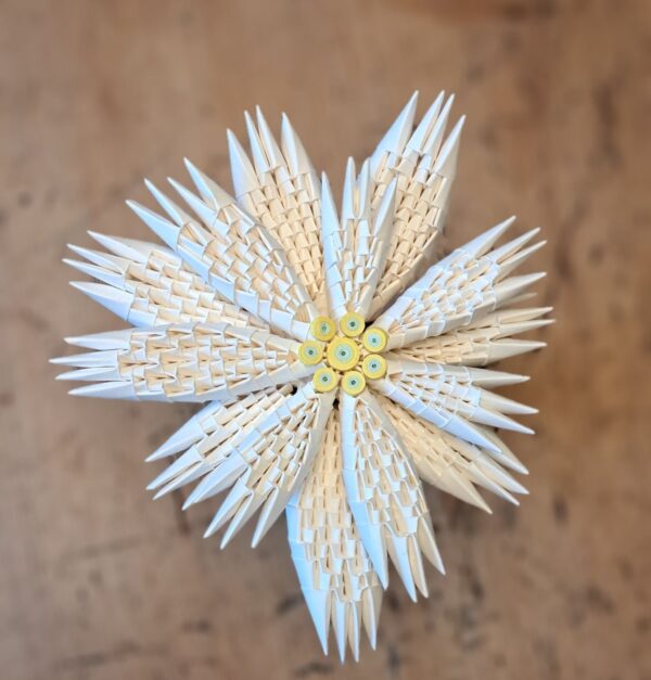 Edelweiss - Starterset für Anfänger 029