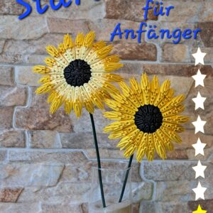 Sonnenblume - Starterset für Anfänger 012 – Bild 1