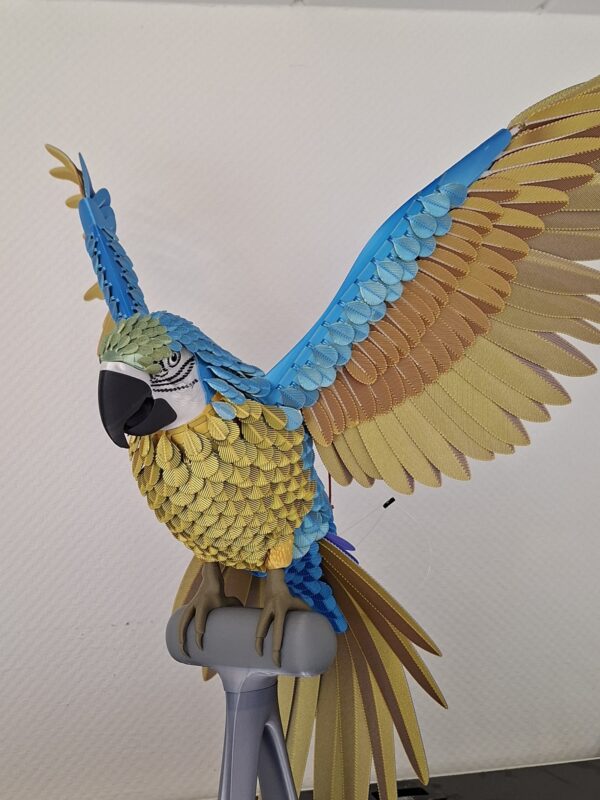 Papagei blau gold stehend