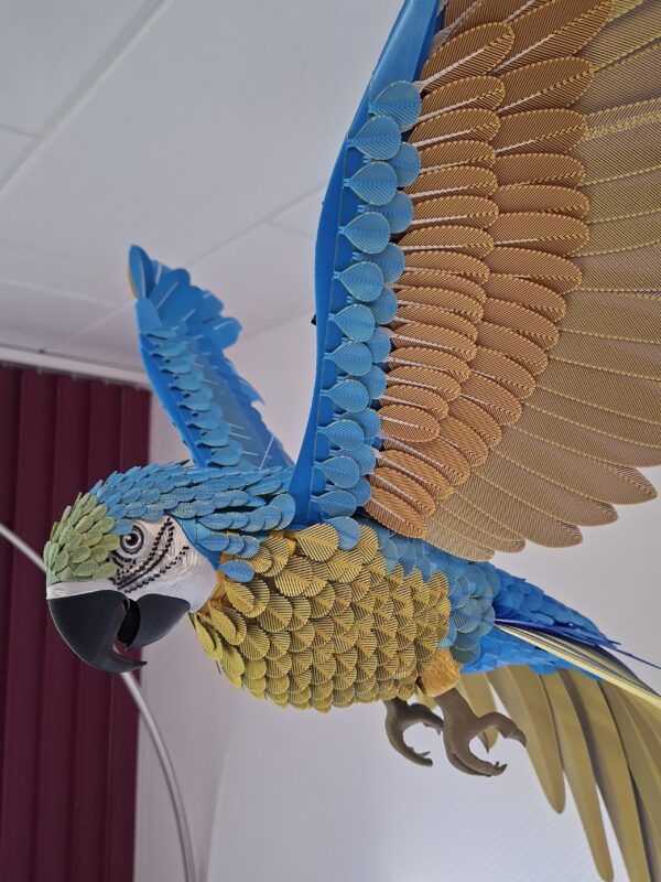 Papagei Blau, Gold fliegend - 3d Druck Bastelset