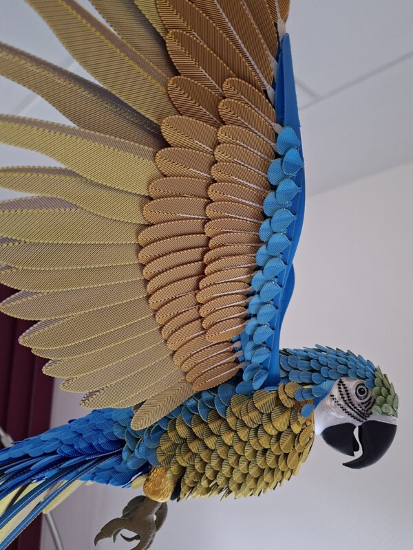 Papagei Blau, Gold fliegend - 3d Druck Bastelset