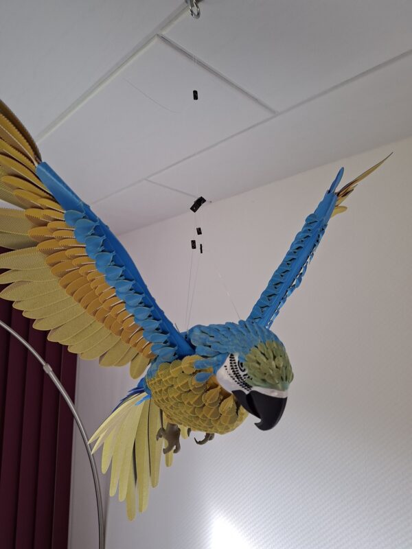 Papagei Blau, Gold fliegend - 3d Druck Bastelset